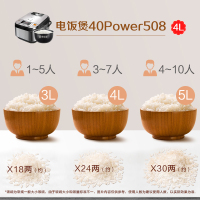 美的(Midea) 电饭煲4l/升IH电磁加热大火力预约功能家用香甜精铁厚釜电饭锅MB-FB40Power508