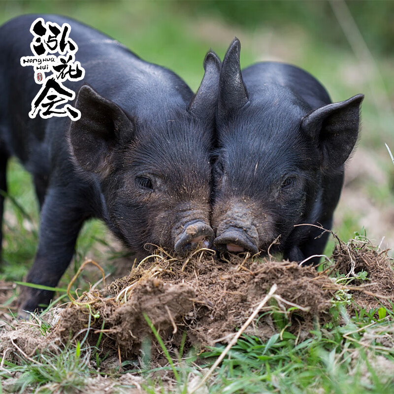 泓花会散养谷饲泰山黑猪里脊500g*1袋高清大图