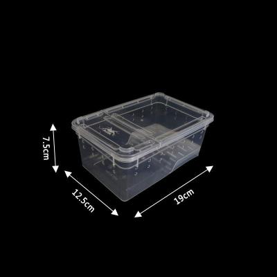 小号白透乌龟方盒(无赠品 塑料小乌龟缸带晒台造景小型宠物龟专用缸巴西龟饲养箱两栖盒带盖