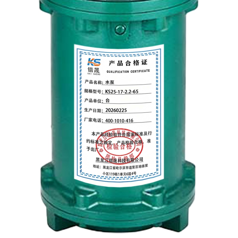 锴晟 水泵 KS25-17-2.2-65 台高清大图