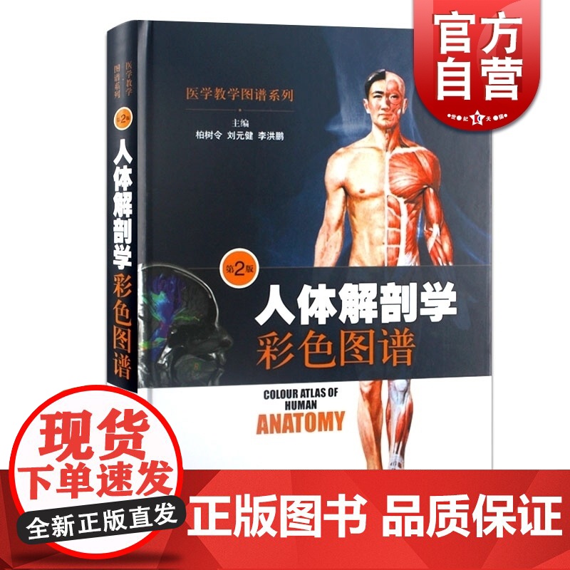 人体解剖学彩色图谱 第2版 柏树令 刘元健 李洪鹏 医学类工具书 医药卫生 上海科技 世纪出版高清大图