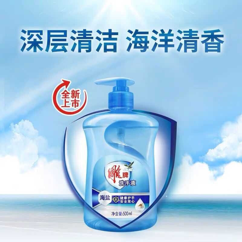 雕牌 500g 海盐洗手液