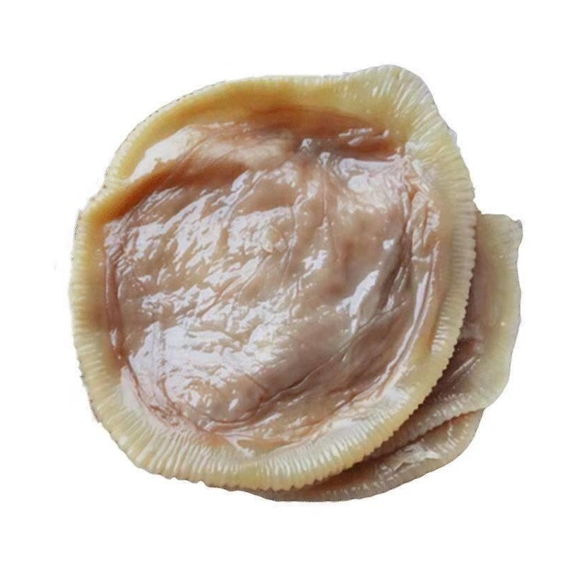 海蜇皮提干海蜇皮非即食凉拌优质海蜇皮圆皮海蜇袋装桶装参数