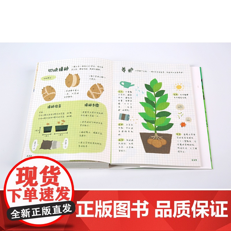 天台饲养间 云朵工厂 著 教你从零开始学会照料植物 轻松养好植物的简指南 中信出版社图书 正版书籍高清大图