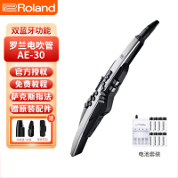 Roland罗兰电吹管AE30专业管乐电子萨克斯多功能吹奏演奏乐器 AE-30【便携包+8节充电电池】