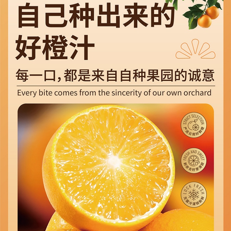 褚橙橙汁饮料285ml*18瓶/箱高清大图