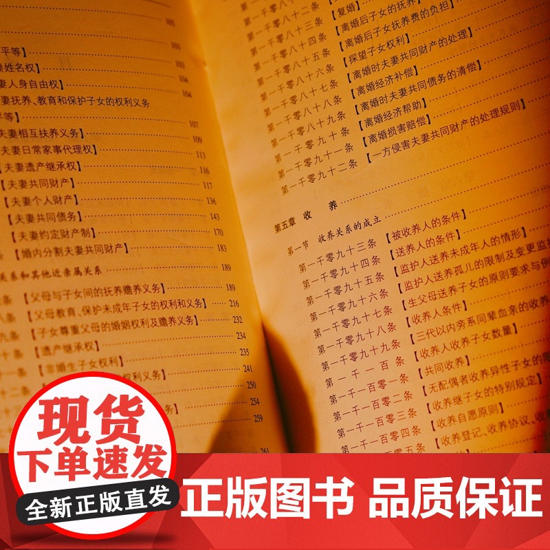 2025新书 民法典 婚姻家庭继承注释书 汪洋 编著 中国民主法制出版社 法律注释体系工具书 司法解释 参考性案例 理解高清大图