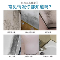 霉斑污渍净 500ml*7瓶 衣物洗白去污渍神器去霉点霉斑清洁剂霉菌发霉去霉除霉剂衣服