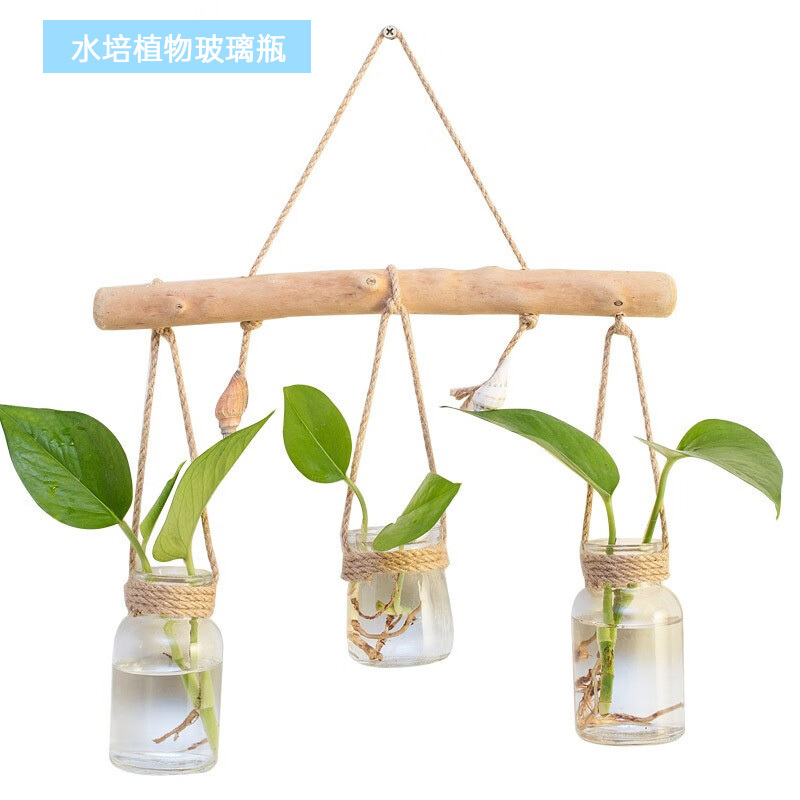 绿植墙海螺三杯