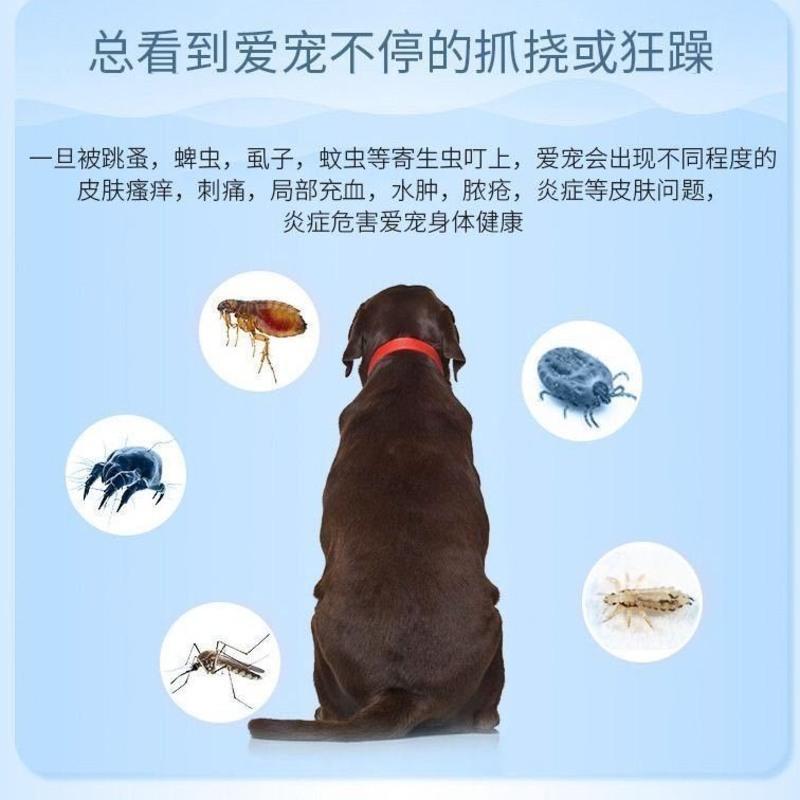 猫狗除跳蚤宠物狗狗体外驱虫去蜱虫猫狗除虱子跳蚤猫咪犬杀虫喷剂300