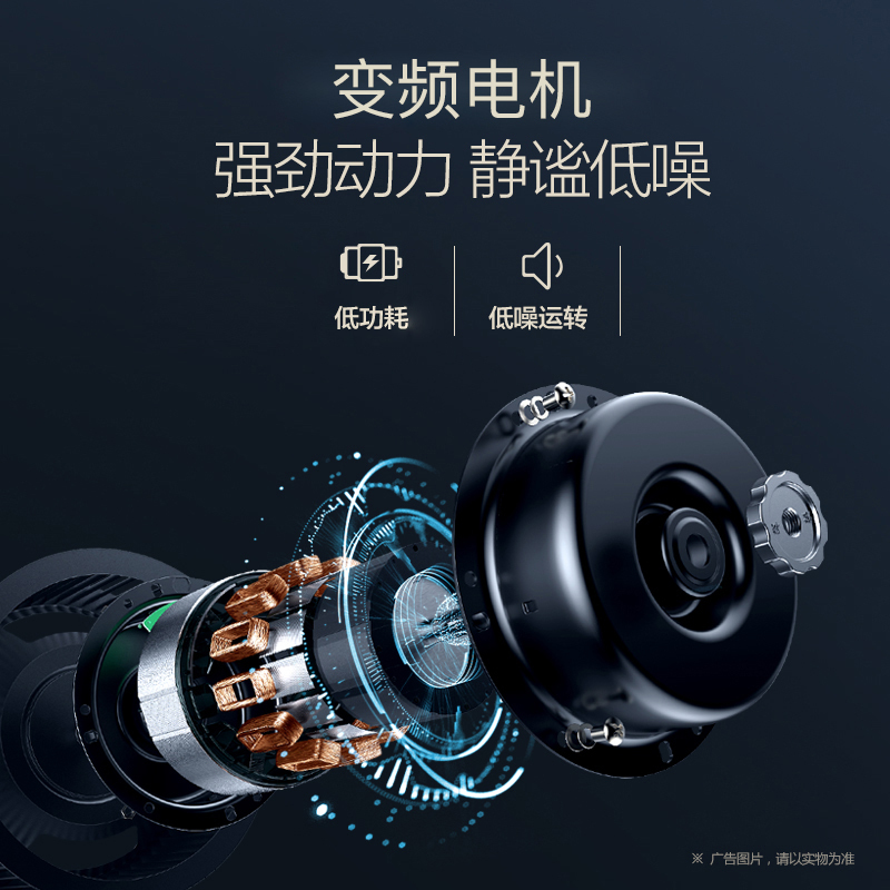 韩宝12L强排式恒温燃气热水器 即热式热水器 DSH13天然气(覆盖范围包安装)