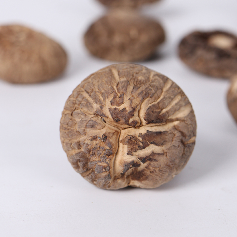 燕之坊西峡伏牛山无根香菇150g 菇肉肥厚 菇香浓郁 剪脚无根