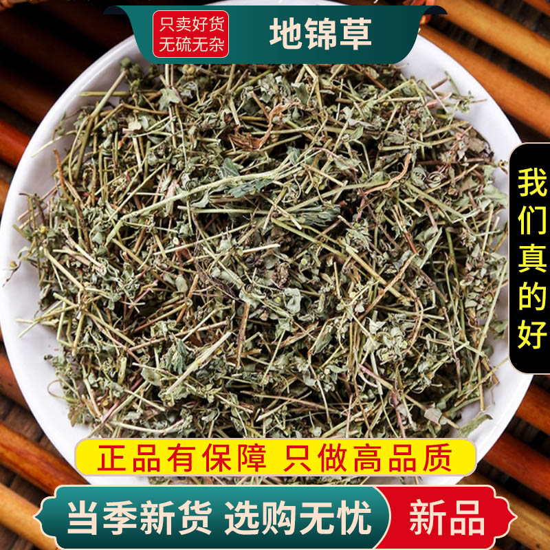 甄选地锦草100克别名斑花盖地血见愁红丝草乃汁浆草9260高清大图