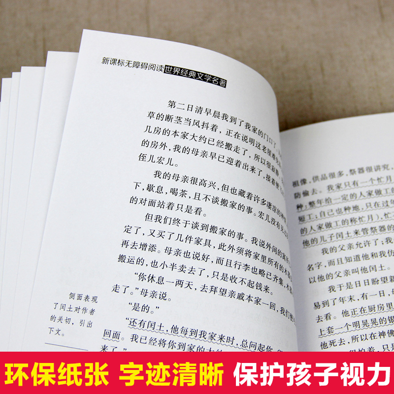 故乡 [正版]故乡鲁迅白话文小说全集少年闰土鲁迅的书散文集杂文集语文无障碍阅读儿童文学青少年版必读小学生三四五六年级课外高清大图