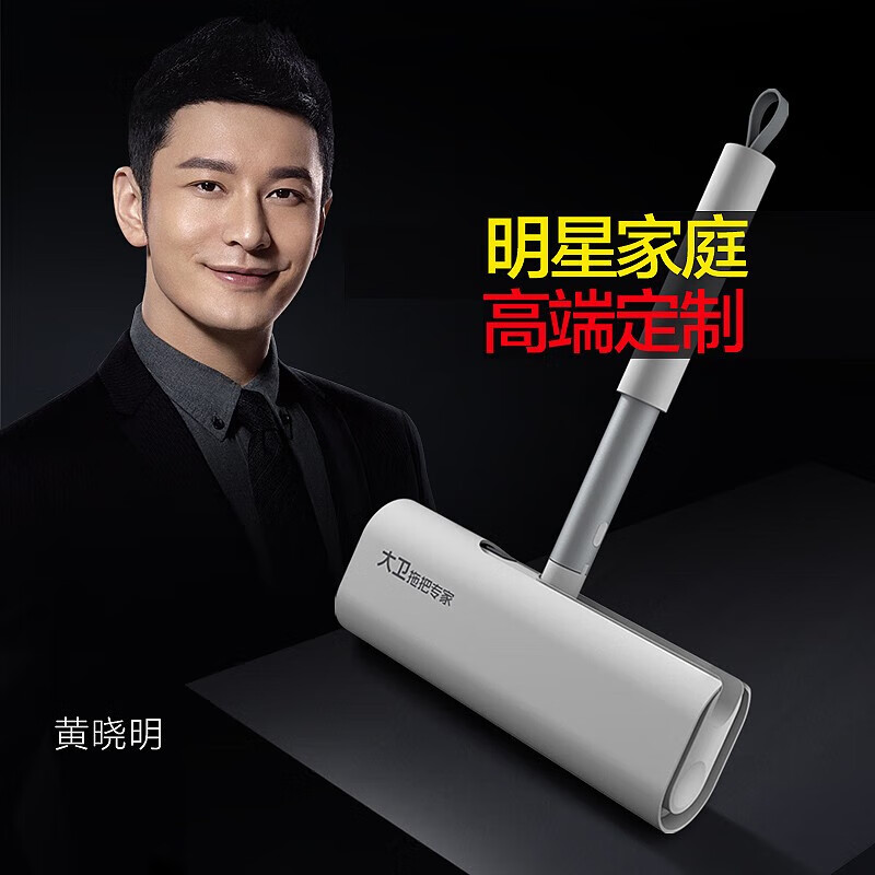 大卫拖把G1粘毛器(短款)高清大图