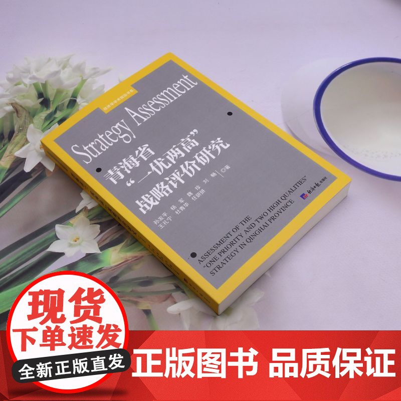 青海省“一优两高”战略评价研究高清大图
