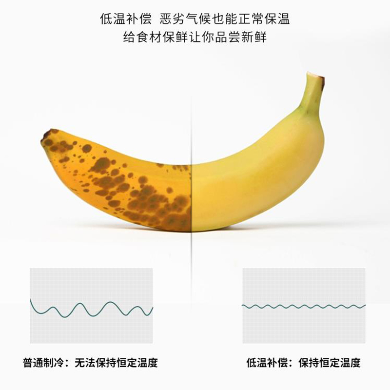 创维冰箱 228L容量冰箱 琥珀宗