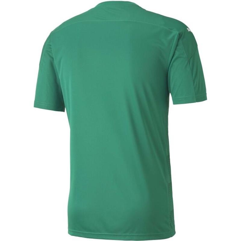 彪马(Puma)男运动T恤足球训练服团队运动衫透气舒适比赛速干球衣