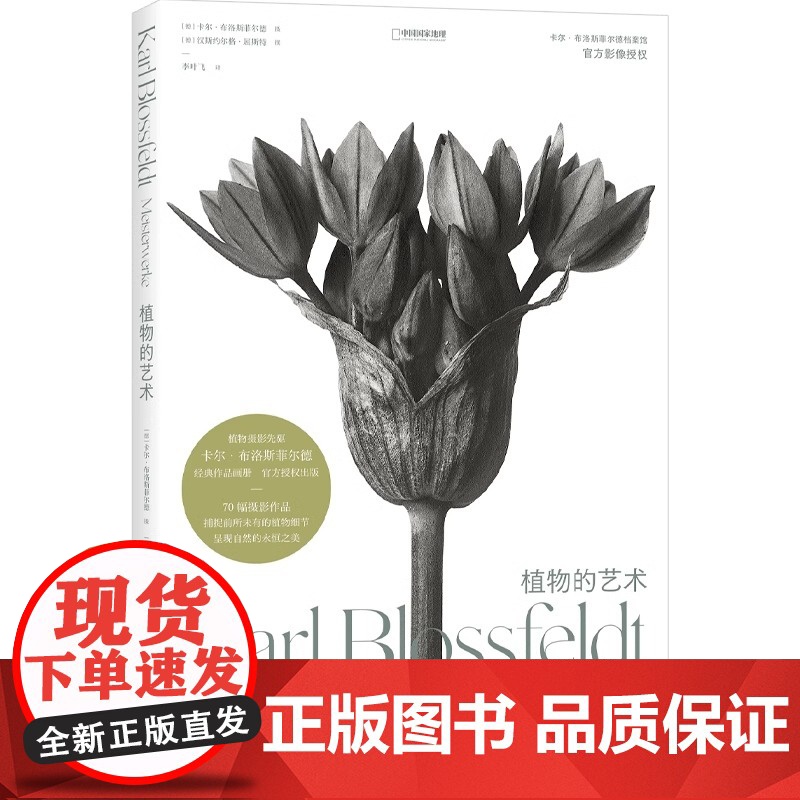 [央视网]植物的艺术 卡尔·布洛斯菲尔德摄影画册植物摄影照片DL高清大图