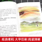 大咖拉布拉多和它的朋友们 [正版]砂粒与星尘 小学生课外阅读书籍 图书 四五六年级课外阅读书籍 课外书 童话故事书 小学