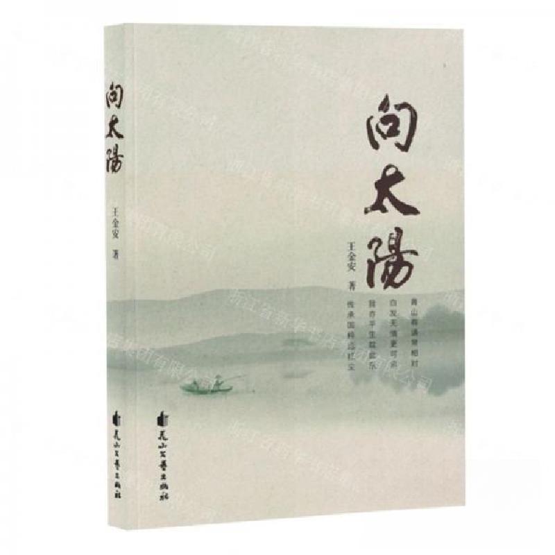 正版新书】向太阳作者:王金安;责编:王李子9787551169899
