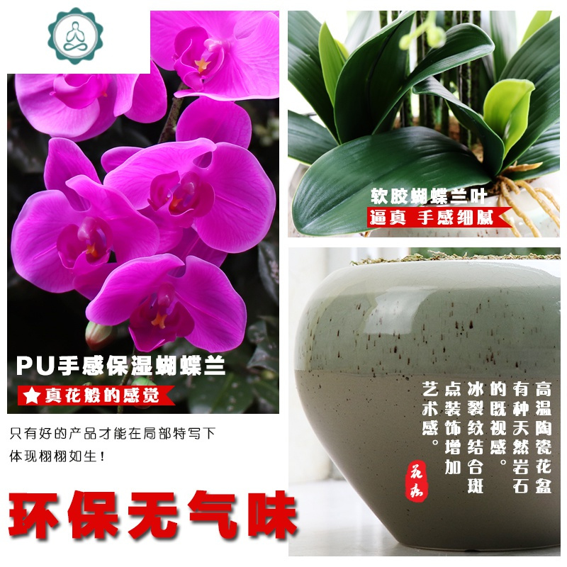 现代简手感仿真蝴蝶兰塑料花装饰花客厅假花盆栽仿真花