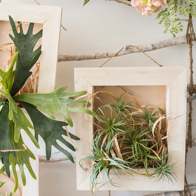 家柏饰(CORATED)壁挂花框花盆花器 实木手工做旧复古花园用品杂货 夏菊套装材料包 中高清大图