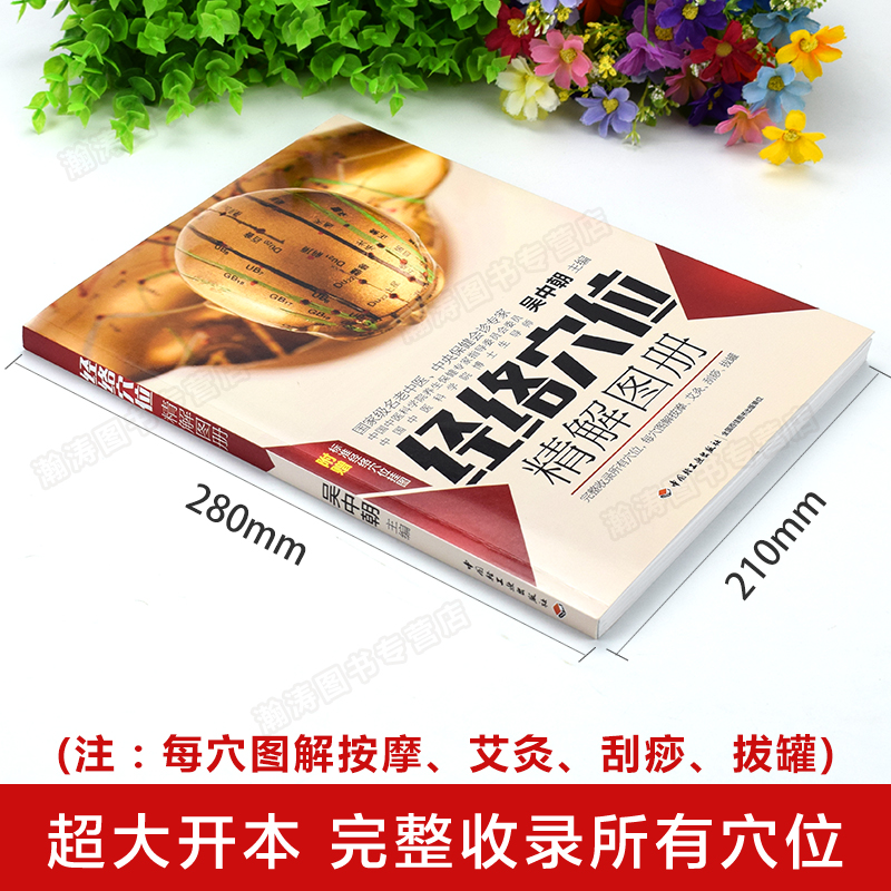 [正版]完整版人体经络穴位图解书籍图册 中医经络图解养生书籍 中医经络穴位按摩大全书籍使用手册 十二经络书 艾灸刮痧穴高清大图