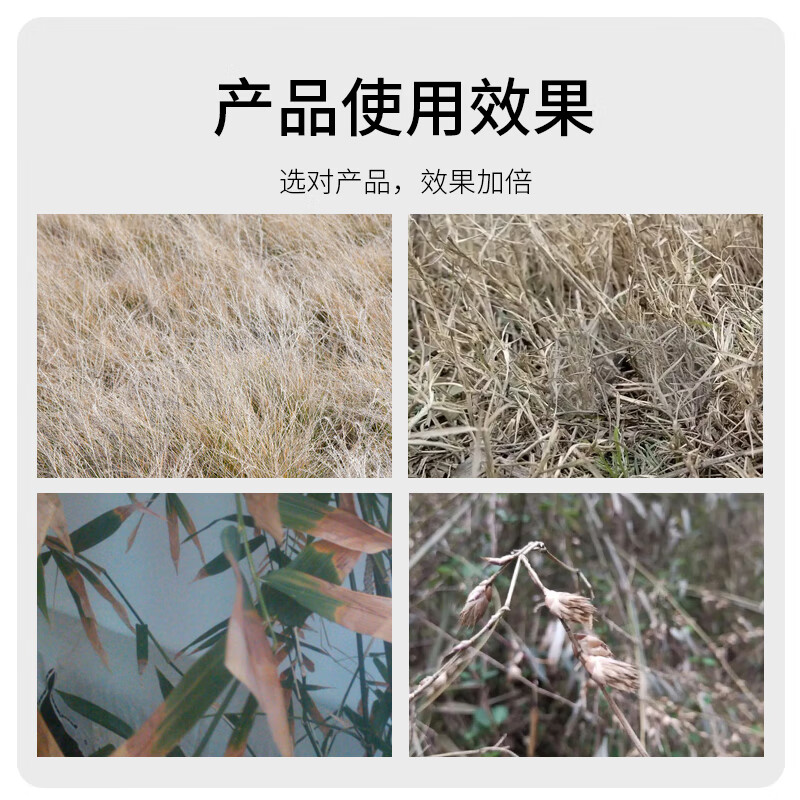 帆邦杂竹净环嗪酮除灌木烂根死根除根除除杂草专用药除草剂 500g整箱高清大图
