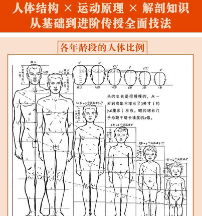[醉染正版]人体素描 安德鲁路米斯经典美术课 西方经典美术技法译丛 伯里曼高徒人体结构绘画教学 正版人体静物写生速写临摹高清大图