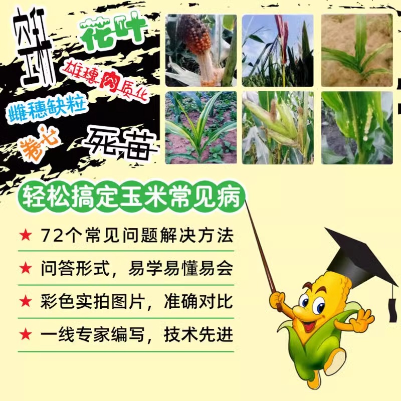 [醉染正版]图说玉米生长异常及诊治玉米高效栽培农业种植技术大全病虫害防治书农药知识农作物现代大棚蔬菜作物育种学玉米种植业高清大图