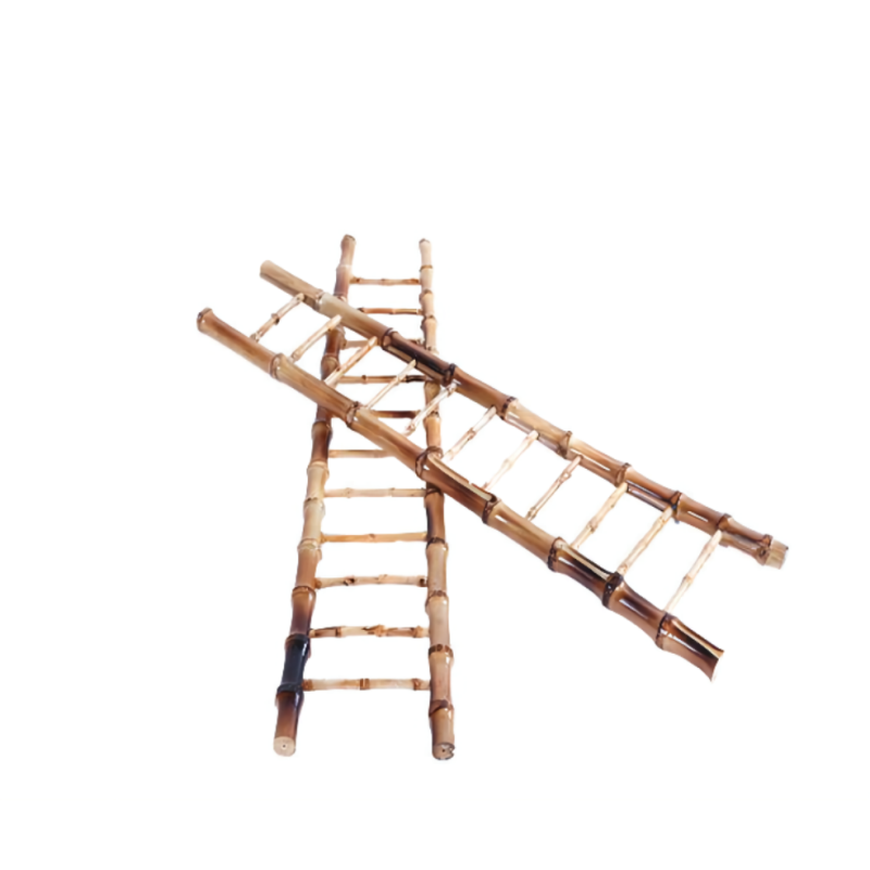 zxze 竹梯连护套19级 hl09-gj19(1把/箱)家用人字梯直梯 幼儿园攀爬梯