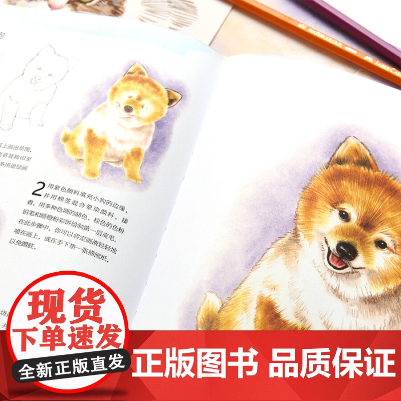 手绘可爱的小动物 轻松画生活 艺术绘画 美术教程 上海书画出版社高清大图