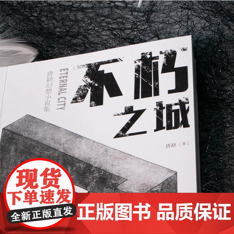 不朽之城 唐缺著;力潮文创出品 中国广播影视出版社 正版书籍高清大图