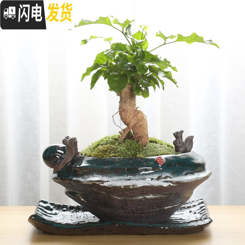 三维工匠花盆陶瓷大号带托盘创意兰花绿萝盆栽室内多肉花盆大口径 YFC-7+托盘 大花盆容器