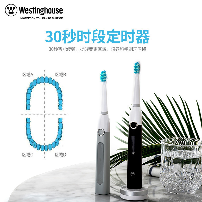 西屋(Westinghouse)电动牙刷 WT-101G 声波震动式牙刷 40000次/分钟 牙齿美白清洁