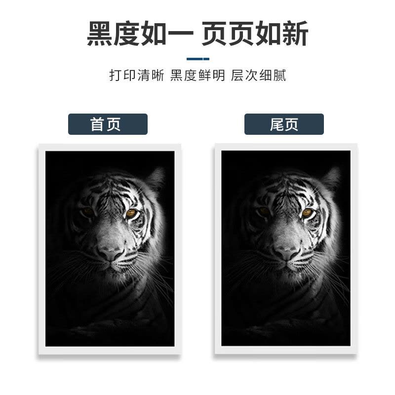 天章龙 T54008 BROTHER-TN1035/LT201粉盒 黑色(1500页)1支硒鼓图片