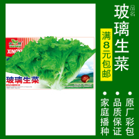 蔬菜种子四季播盆栽番茄黄瓜辣椒西瓜籽孑大全罗卜蕃茄苏州青苏番 均码 玻璃生菜约300粒