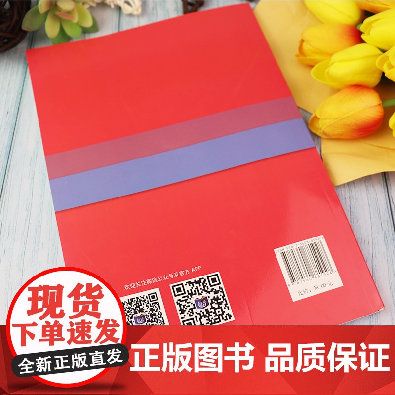 德语词汇语法训练A1安娜丽.比利娜编著 欧标德语A1考试备考 德语语法解析与练习德语欧标考试书籍德语自学入门教材同济大学高清大图