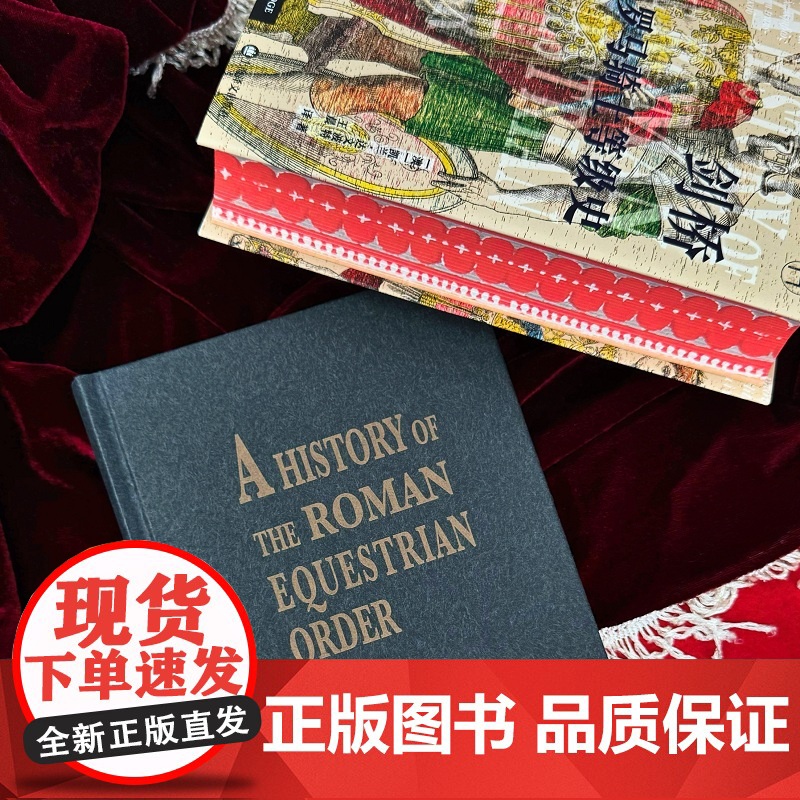 剑桥罗马骑士等级史 [澳]凯兰·达文波特 著 王晨 译 书口彩边 世界史 古罗马 骑士 罗马皇帝 剑桥史 上海译文出版社高清大图