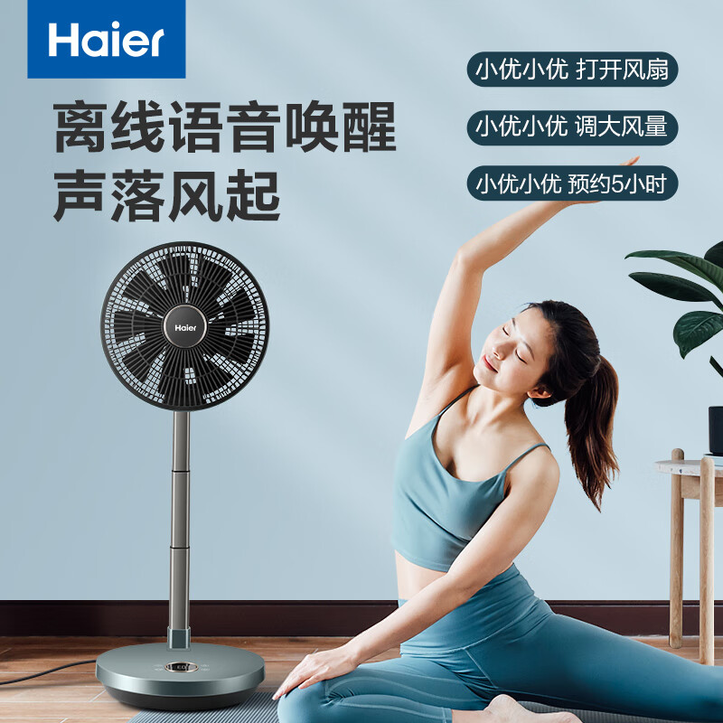 海尔(haier)空气循环扇家用可折叠智能遥控便携落地扇户外离线语音电风扇高效直流电扇循环扇HFX-Y2501A 语音款高清大图