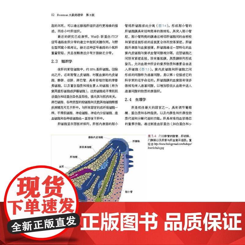 Boorman大鼠病理学 第2版 病理学 大鼠 实验动物 北京科学技术高清大图