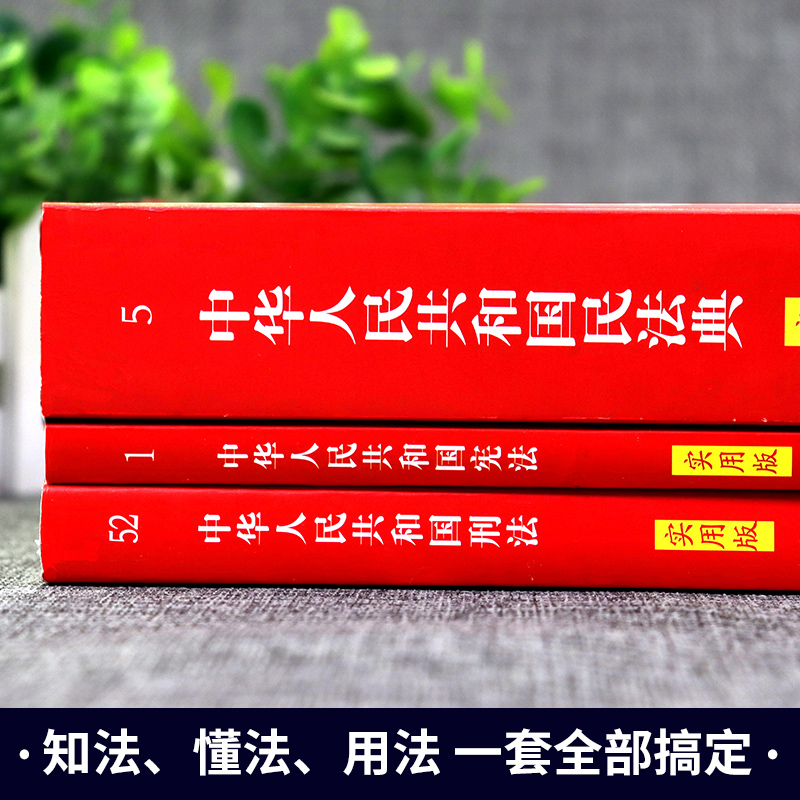 [友一个正版]全套3册 民法典实用版+刑法+2022年版中国中华人民共和国民法典理解与适用及相关司法解释汇编注释本高清大图