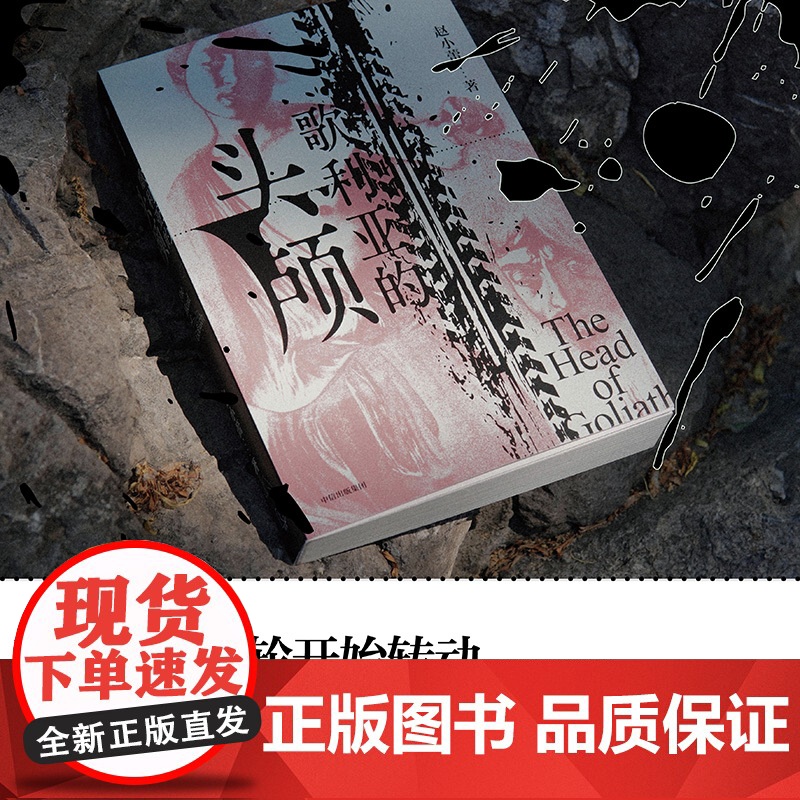 歌利亚的头颅 赵小蕾著 现代的罪与罚故事 长篇小说 父子关系 权力斗争 中信出版社图书 正版高清大图