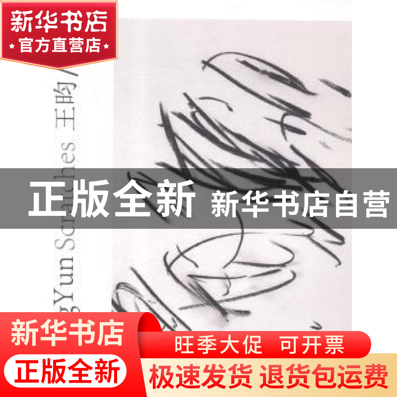 正版 划痕 王昀[著] 中国电力出版社 9787519812423 书籍高清大图