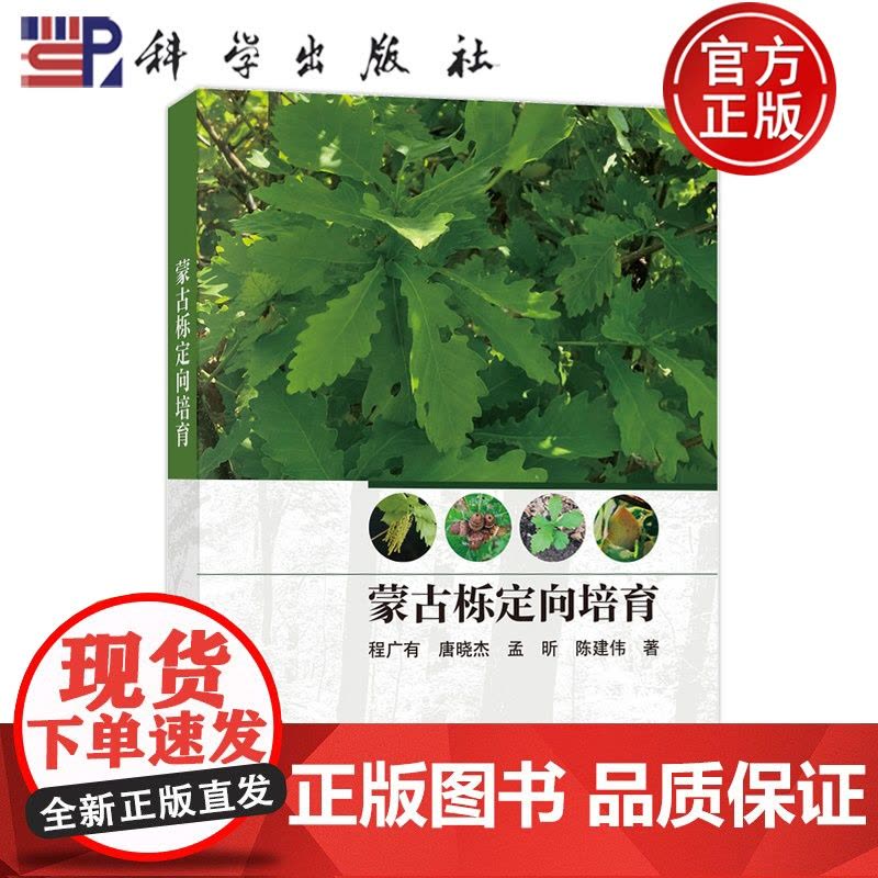 正版]蒙古栎定向培育 程广有等 科学出版社9787030804372图片