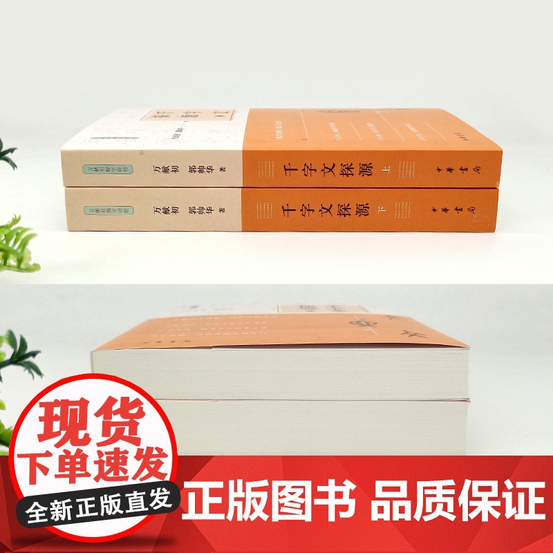 千字文探源全2册二册平装新版 注音万献初解字讲经 中华书局了解汉字构形逻辑思维训练 语言文字郭帅华历史类书籍 正版高清大图