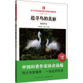 追寻鸟的美丽 观鸟手记