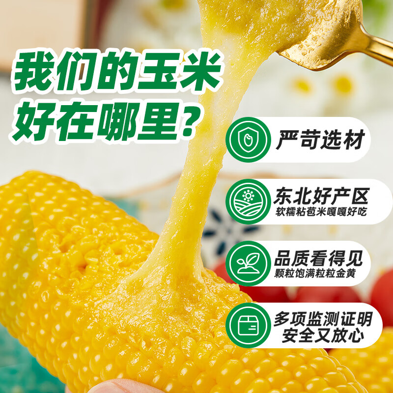 十月稻田黄糯玉米 3.52斤(220g*8根) 东北玉米棒甜糯低脂新鲜真空装早餐苞米高清大图