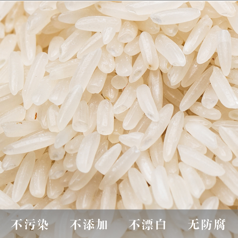 桂鼎 福相迎-金丝苗米5kg/ 袋 真空包装香软粘糯新鲜大米